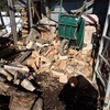 薪割り小屋の片付け　好循環　Tidying up the hut for wood splitting