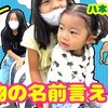 10月25日の動画