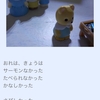 懐かしいくまちゃんのはなし