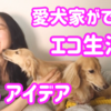 愛犬家ができるエコ生活のアイデア