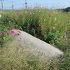 丹下庵古墳　島根県松江市古曽志町