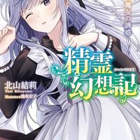 精霊幻想記　28.魔女の誘惑