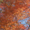 高取山　ゆる山隊　紅葉を愛でに