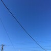 月曜日、午前中打合せなど