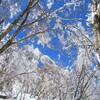 丹沢三峰登山！霧氷と登山ルート詳細！絶景の丹沢山、塔ノ岳
