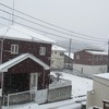 埼玉は久しぶりに大雪