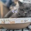 といで良し！寝れて良し...すっぽりと☆
