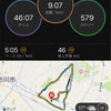 朝ジョグ9km