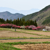 『埼玉で人並みの生活、月収５０万円必要　県労連が調査』を読んで　