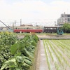 レトロ電車が止まる近くの田畑では