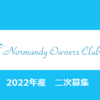 【予算はないけど一応やる】ノルマンディーOC2023、2次募集馬の個人的見解（No.39～No.44）。