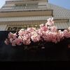 花言葉は「優美な女性」