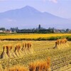 １０月１４日（土）第１００回東京箱根間往復大学駅伝競走予選会が有る、