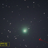 DSSで処理可能 C/2013 X1 PANSTARRS 彗星