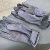 本日の買い物：EX-5221 EXハイドグローブ、EX-5220 EXメッシュグローブ