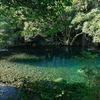 屋久島の自然で愛を知る