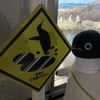 ペンギンの餌やり！サイコロきっぷで白浜旅(その3)(525)