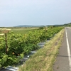 北海道ひとり旅　①北への憧れと山との出会い