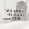 「愛猫にされて嬉しいこと」ベスト３