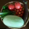 今が旬！夏野菜のトースト3選