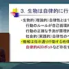 「言語的自己」と「身体的自己」