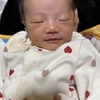 命名