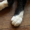 危険な落し物