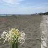 湘南日帰り海めぐり