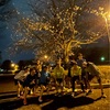 令和6年4月4日　木曜Night RUN