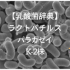 ラクトバチルス・パラカゼイ乳酸菌(K-2株)とは？働きと研究結果