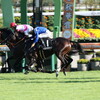 京都競馬場へ行った来ました (2024/10/12)