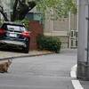 池袋ネコ歩きminiなカメラ散歩。【池袋一丁目〜東池袋】