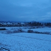 今朝も雪かきをしました・・・