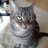 ヒゲの剃り残しって人生みたいだなってふと思った