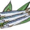 DHA・EPAと言えば いわし！加工しても美味しい いわしについて