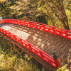 明念坂から布橋へ：芦峅寺の紅葉