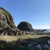 かつては神域と恐れられた 剱崎の星見の池（三浦市）