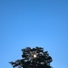 寄り道👣　「スマホ指」にはご注意を🌙
