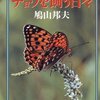 都知事選雑感もしくは「小泉純一郎なるもの」