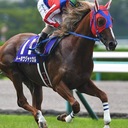 4着当てがち