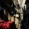 路地に輝く。