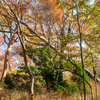 八丁池の紅葉見ごろ