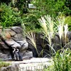 #お月見水族館#空飛ぶペンギン#サンシャイン水族館