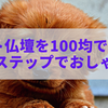 ペット仏壇を100均でDIY！簡単ステップでおしゃれに