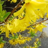 今日は３月の晦日