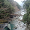 日本三奇橋　祖谷のかずら橋に行った話（こわくて渡れなかったけどね）