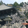 東大寺・二月堂