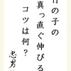 竹の子の 真っ直ぐ伸びる コツは何？