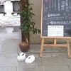 雪の日の日本庭園