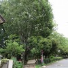 みやび青葉公園（東京都武蔵野市）